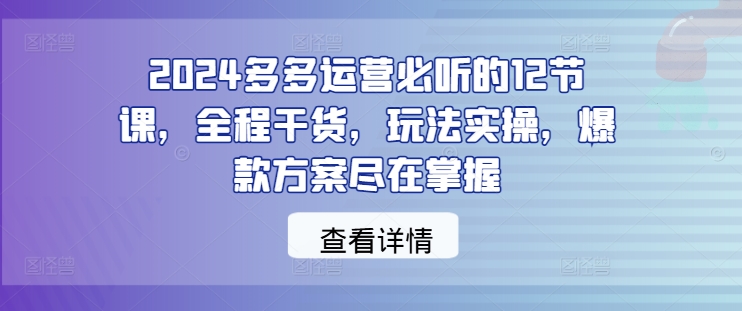 2024多多运营必听的12节课,全程干货,玩法实操,爆款方案尽在掌握-聊项目