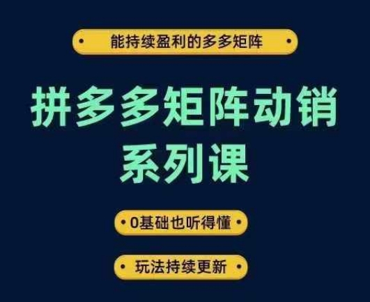 拼多多矩阵动销系列课,能持续盈利的多多矩阵,0基础也听得懂,玩法持续更新-聊项目