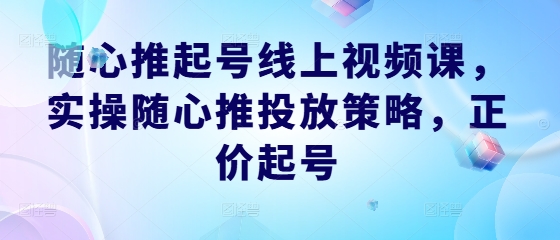 随心推起号线上视频课,实操随心推投放策略,正价起号-聊项目