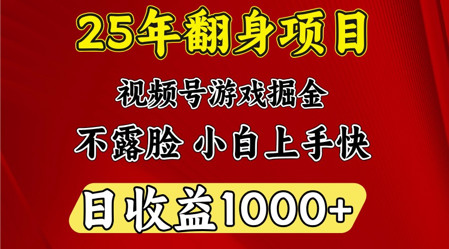 一天收益1000+ 25年开年落地好项目-聊项目