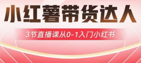 小红薯达人带货启航计划，3节直播课从0-1入门小红书-聊项目