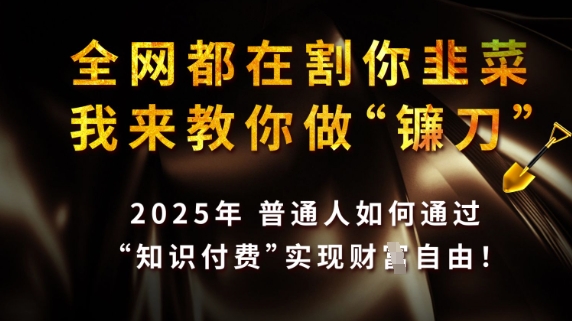 全网都在割你韭菜，我来教你做镰刀，2025普通人如何通过知识付费，实现财F自由【揭秘】-聊项目