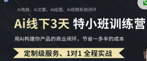 AI实操培训第20-21期线下，0基础保姆级教程，3月最新整理，企业获客、降本增效、打造超级个体-聊项目