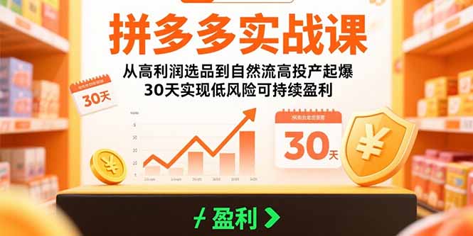 拼多多实战课:从高利润选品到自然流高投产起爆 30天实现低风险可持续盈利-聊项目