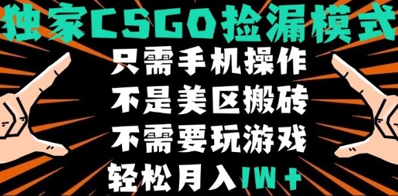 CSGO自动捡漏项目，最新独家玩法，不是美区搬砖，不需要了解和玩游戏，新手小白轻松月入1W+【揭秘】-聊项目