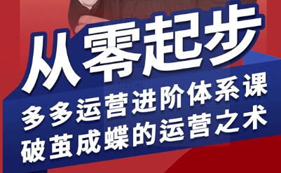 拼多多运营进阶系统课,从零起步,多多运营进阶体系课,破茧成蝶的运营之术-聊项目