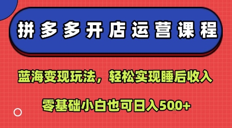 拼多多开店运营课程:蓝海变现玩法,轻松实现睡后收入,零基础小白也可日入5张-聊项目