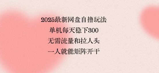 2025最新网盘自撸玩法，单机每天稳下3张，无需流量和拉人头，一个人就可轻松矩阵，全网独一份【揭秘】-聊项目