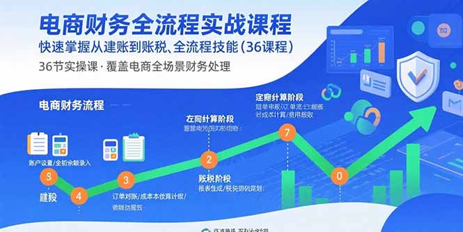 电商财务全流程实战课程：快速掌握从建账到报税的全流程技能(36节课-聊项目