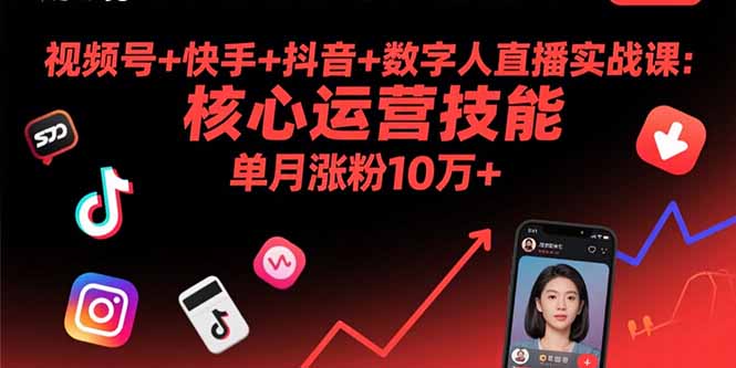 视频号+快手+抖音+数字人直播实战课(9月-聊项目