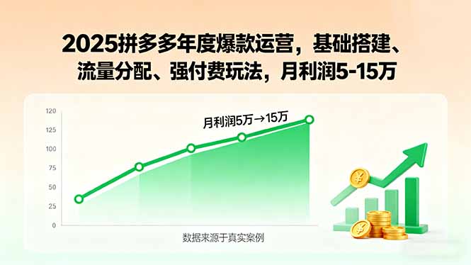 2025拼多多年度爆款运营,基础搭建、流量分配、强付费玩法,月利润5-15万-聊项目