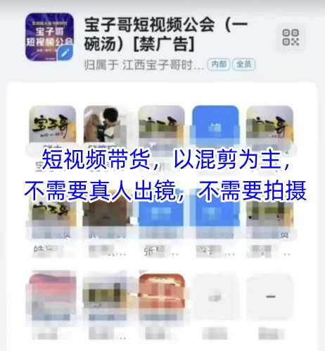 宝子哥头部团队短视频带货,以混剪为主,不需要真人出镜,不需要拍摄【更新9月】-聊项目