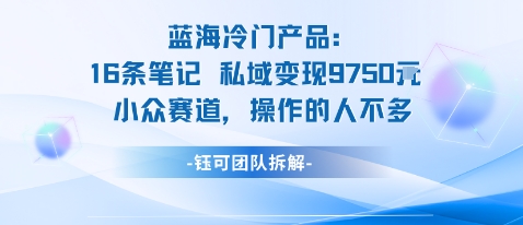 蓝海项目：16条笔记私域变现9750米小众赛道操作的人不多-聊项目