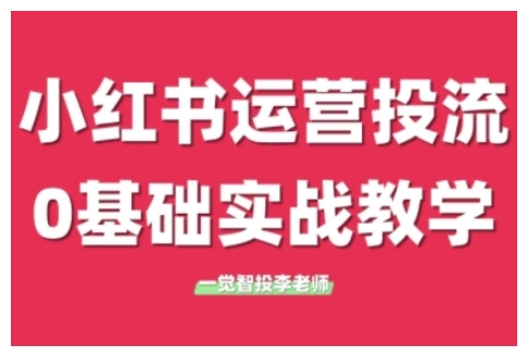 小红书运营投流，小红书广告投放从0到1的实战课，学完即可开始投放(更新26年)-聊项目