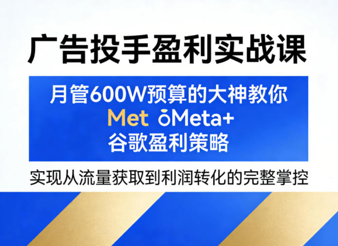 广告投手盈利实战课,月管600W预算的大神教你Meta+谷歌盈利策略,实现从流量获取到利润转化的完整掌控-聊项目