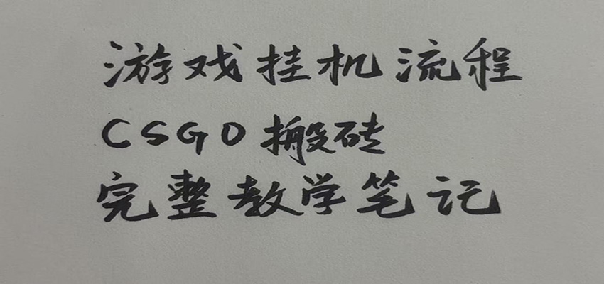 游戏挂机全流程笔记分享，CSGO游戏搬砖，小白看了当天学会见收益-聊项目