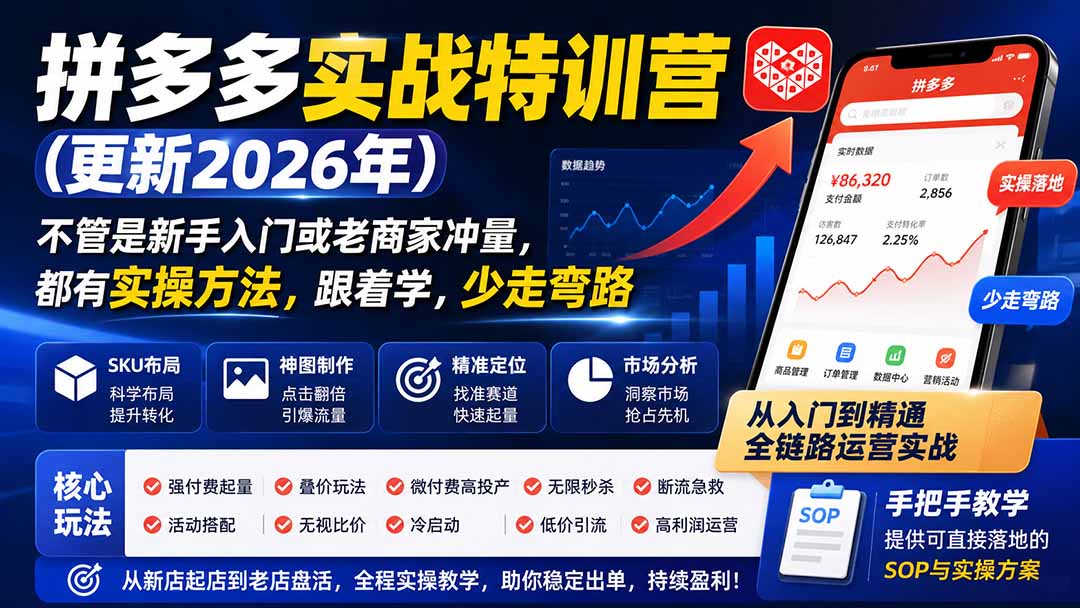 拼多多实战特训营(更新26年0831-聊项目