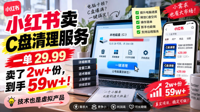 小红书卖C盘清理服务，一单29.99，卖了2w+份，技术也是虚拟产品-聊项目