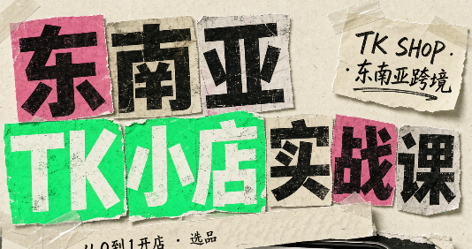 东南亚TK小店实战课(基础+进阶)-聊项目