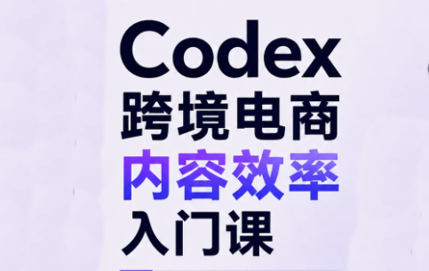 Codex跨境电商内容效率入门课-聊项目