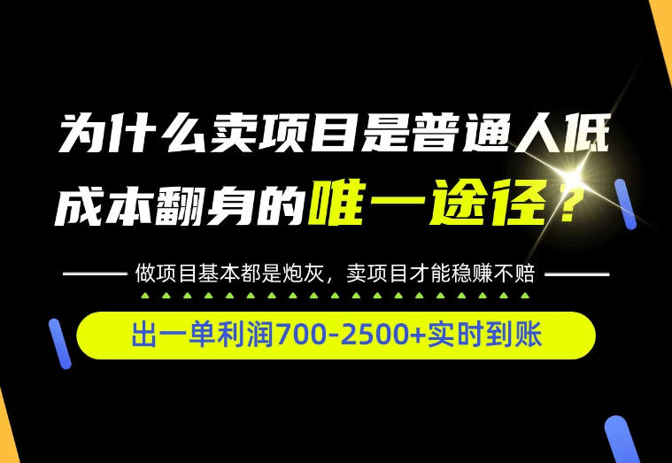 普通人如何靠互联网賺取自己的第一桶金！全类目实操型教学，看完你全都懂了！【揭秘】-聊项目
