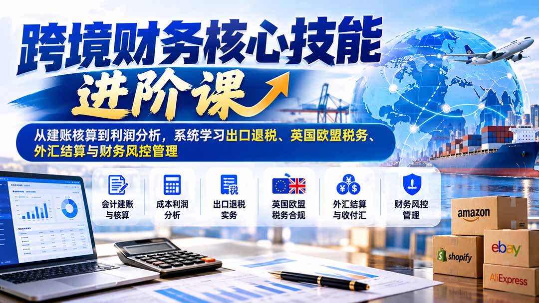 跨境财务核心技能进阶课：从建账核算到利润分析，系统学习出口退税、英国欧盟税务、外汇结算与财务风控管理-聊项目